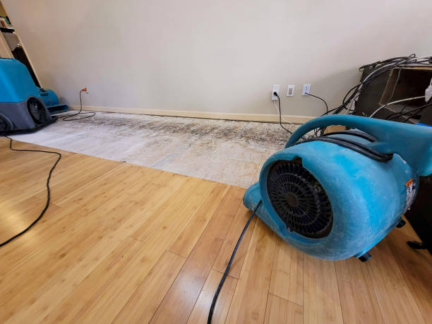 Professional Structural Drying technician working in Etowah, TN